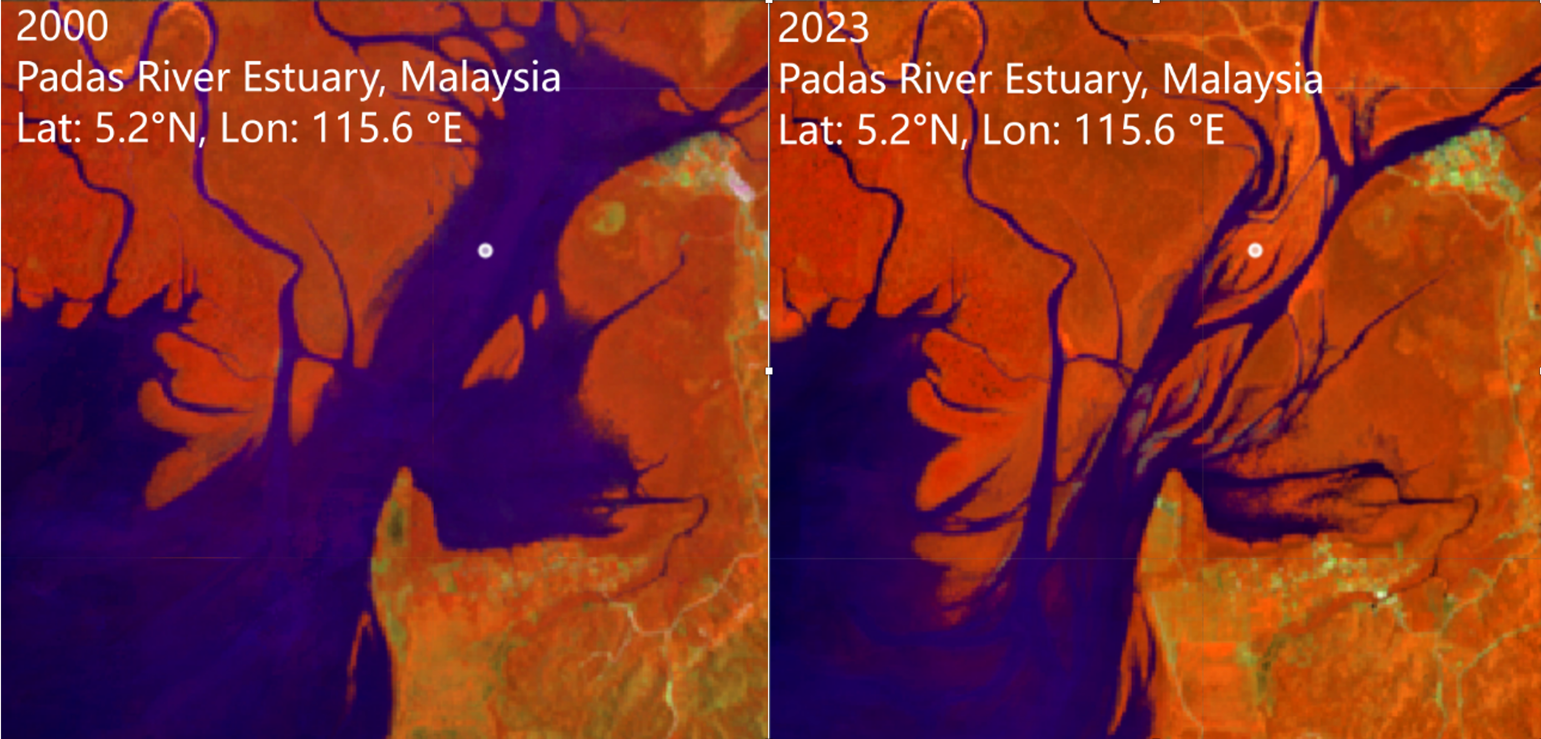 NASA Satellites Show Mangrove Forest Rebound