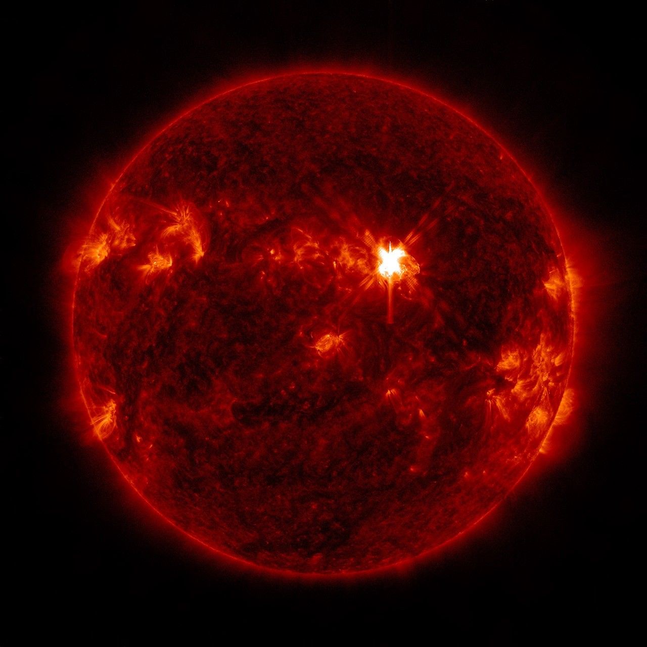 Strong Flare Erupts from Sun 