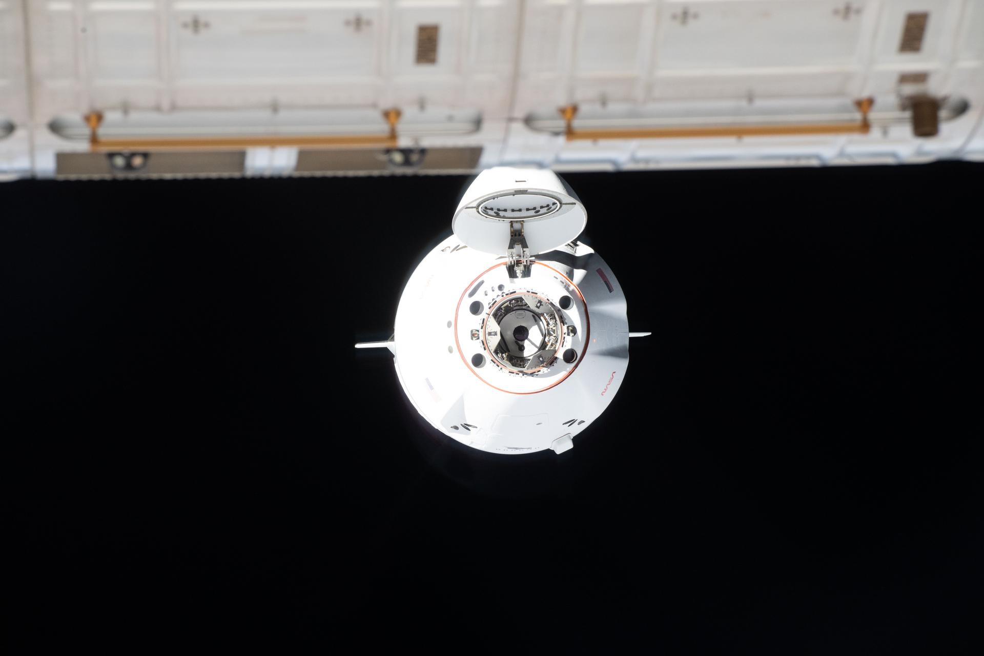 SpaceX Dragon Prepares for Undocking and Return to Earth