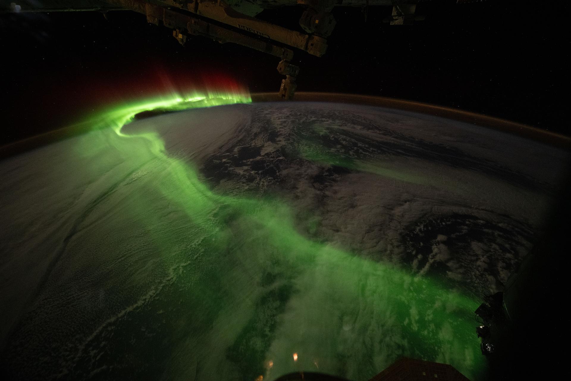 Botany and Biology Research Wrap Up Week as Dragon Preps for Earth Return