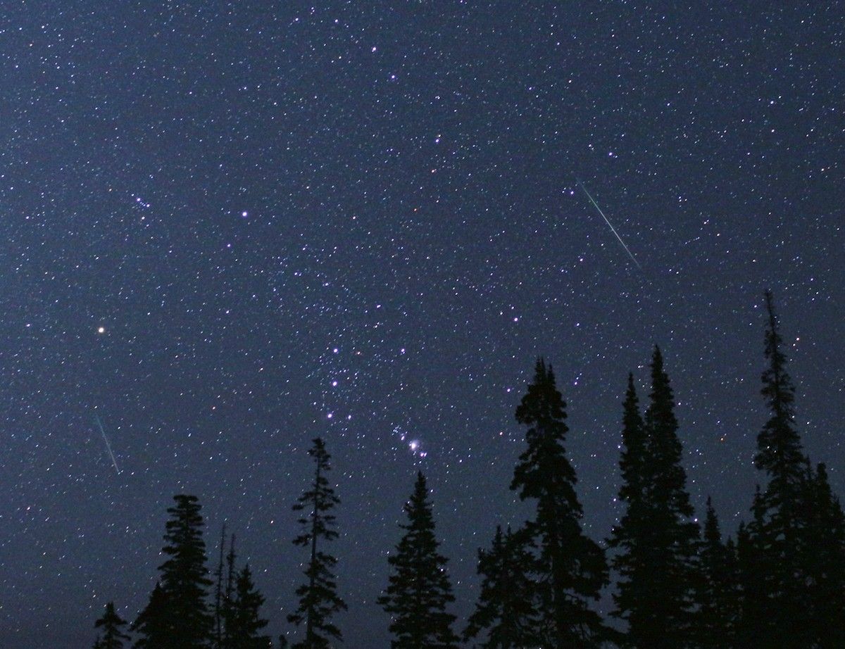 Summer Star Shower: Watch the Perseids with NASA!