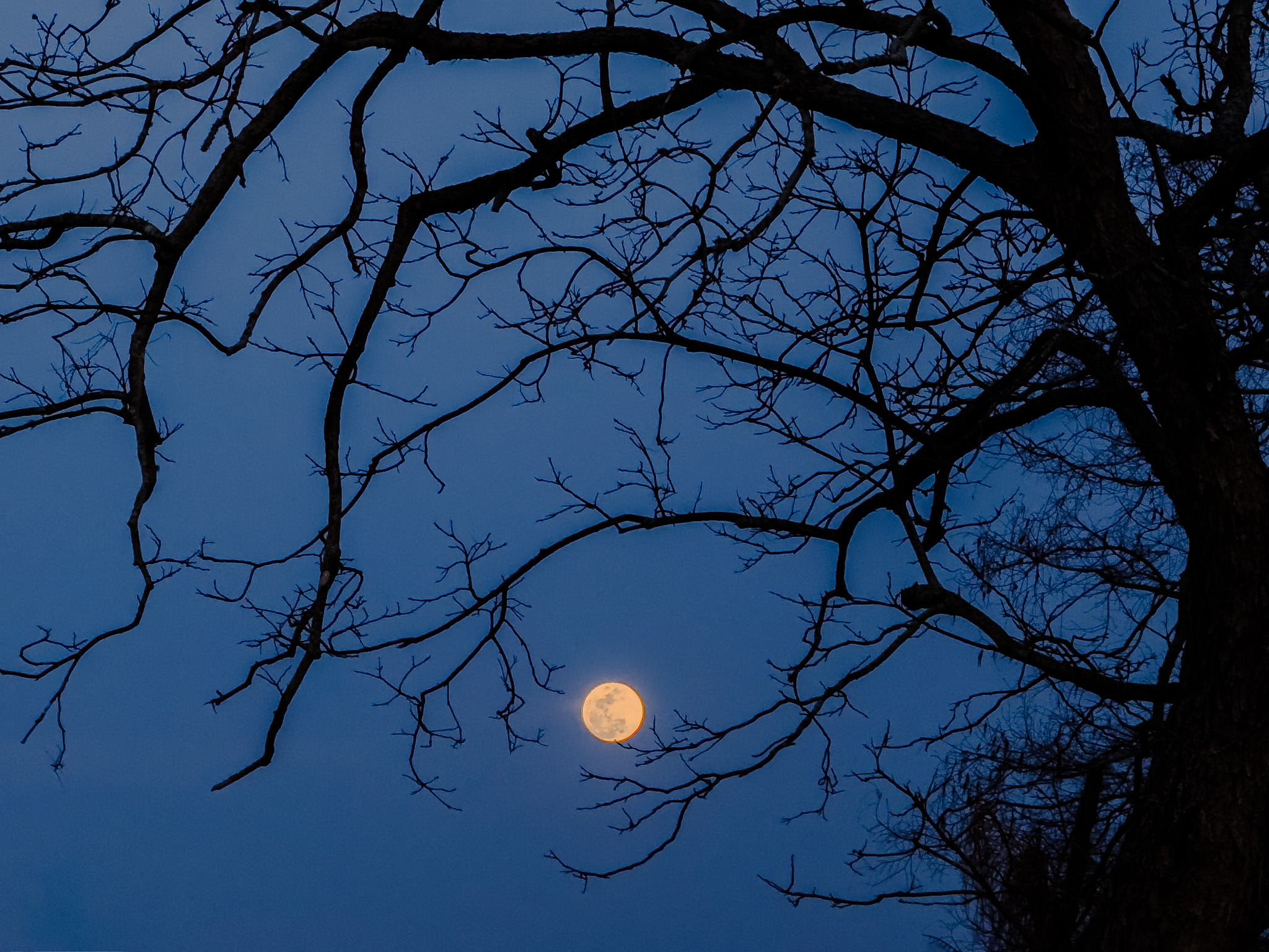 Disappearing Planets, Dragon Fireballs, Hunter’s Moon Fill October’s Spooky Skies