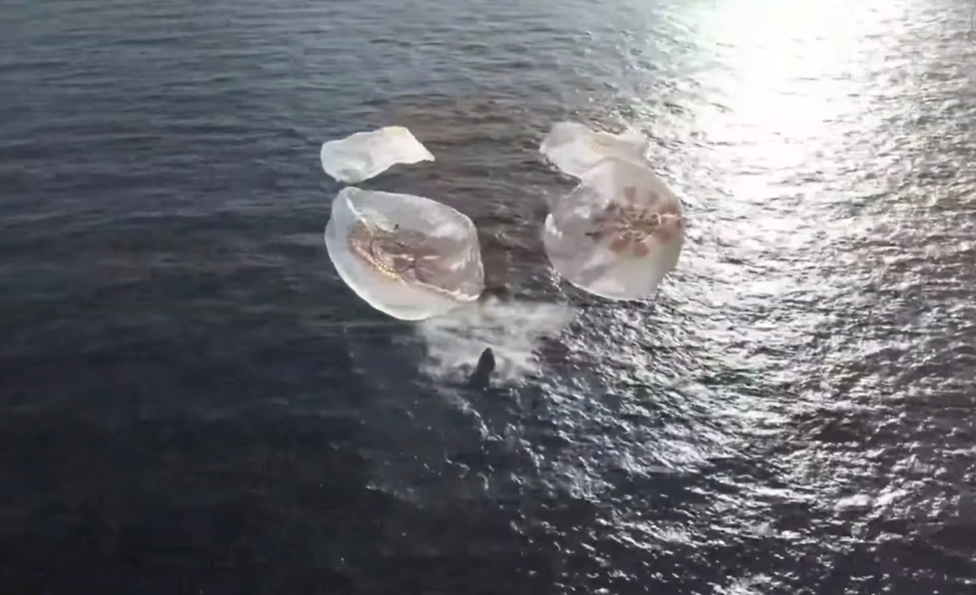 NASA’s SpaceX Crew-12 Dragon Splashes Down at 11:34 a.m. EDT